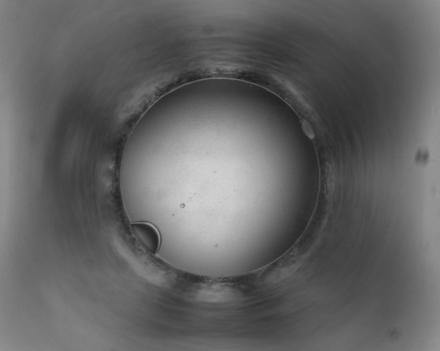 X0000111920451200907271253
