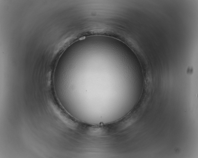 X0000111920454200907271253