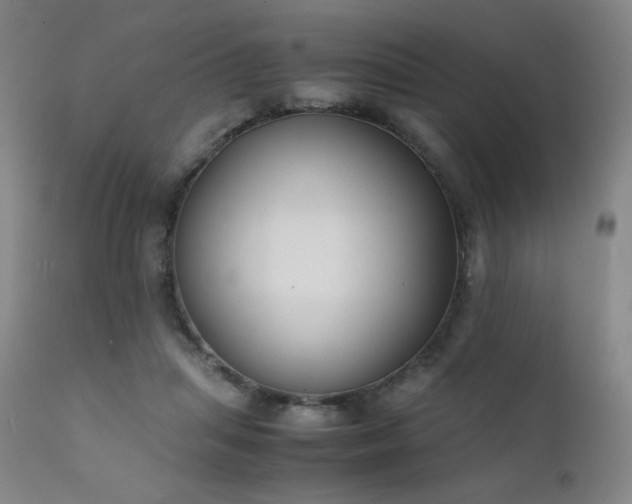 X0000111920455200907271253
