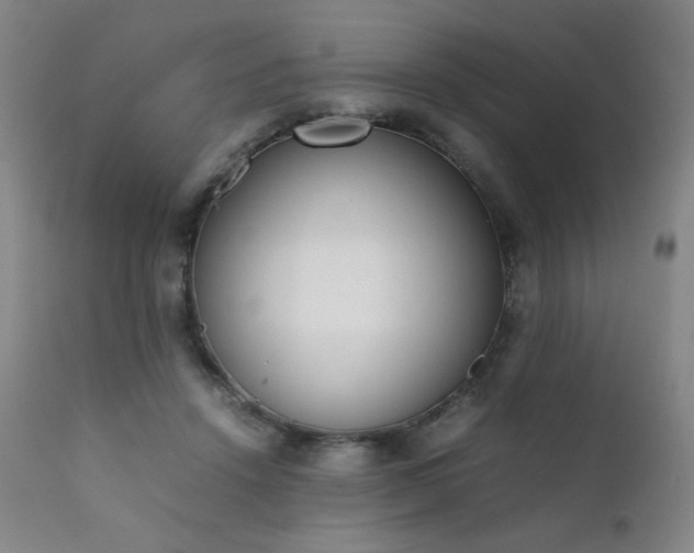 X0000111920456200907271253