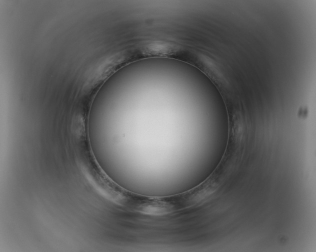X0000111920459200907271253