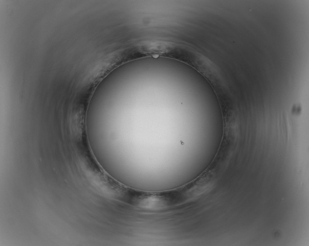 X0000111920460200907271253