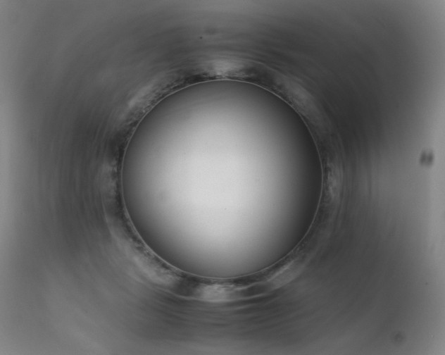 X0000111920461200907271253