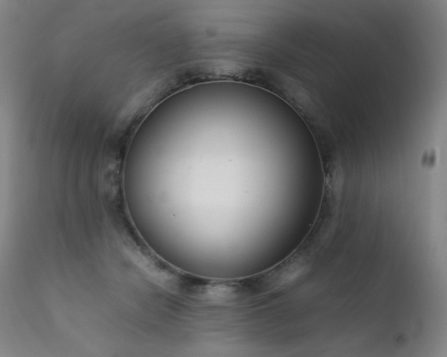 X0000111920462200907271253