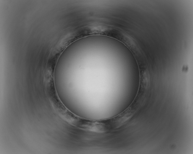 X0000111920463200907271253