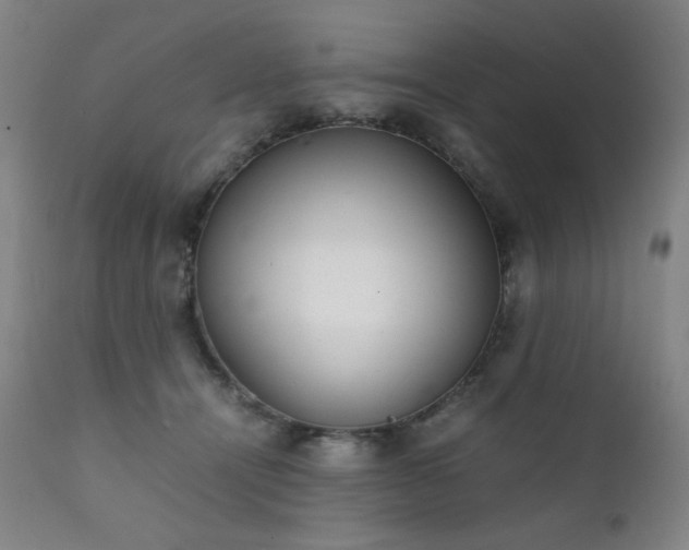 X0000111920464200907271253