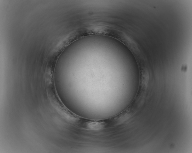 X0000111920465200907271253