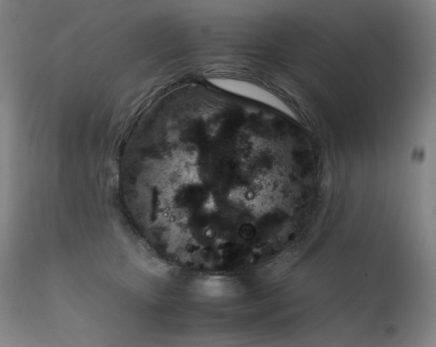 X0000111920467200907271253