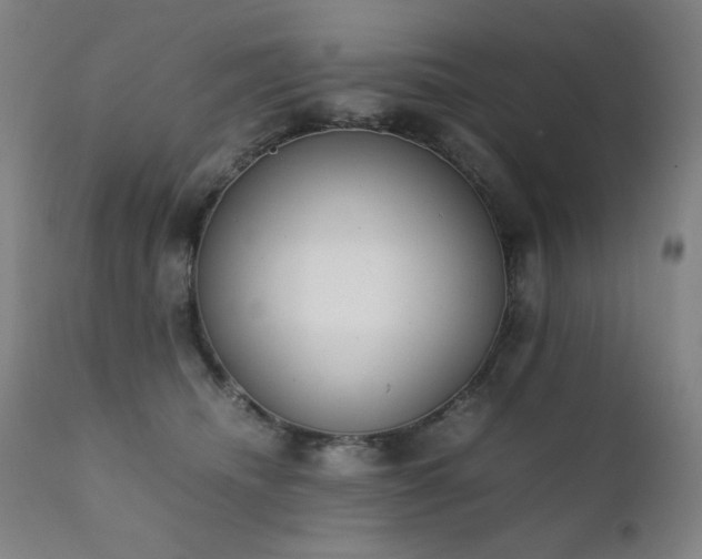 X0000111920468200907271253