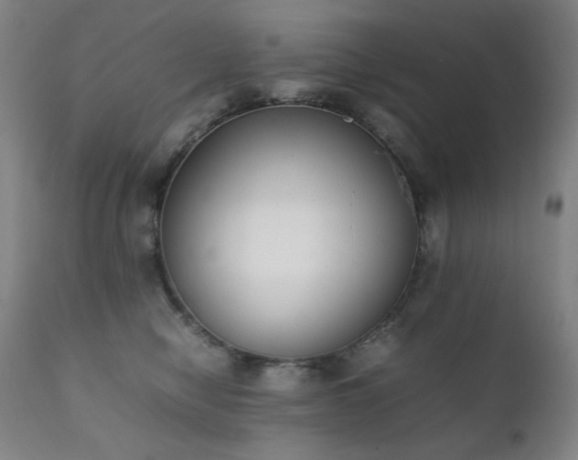 X0000111920470200907271253