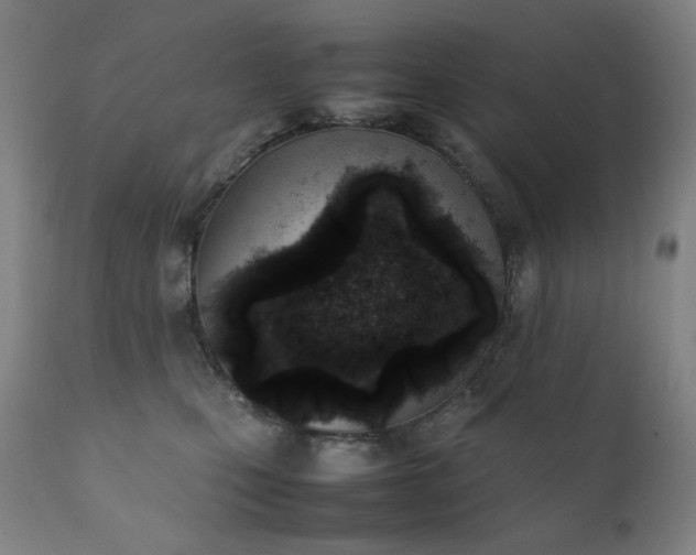 X0000111920471200907271253