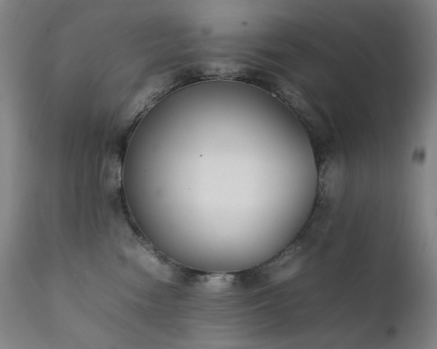 X0000111920474200907271253