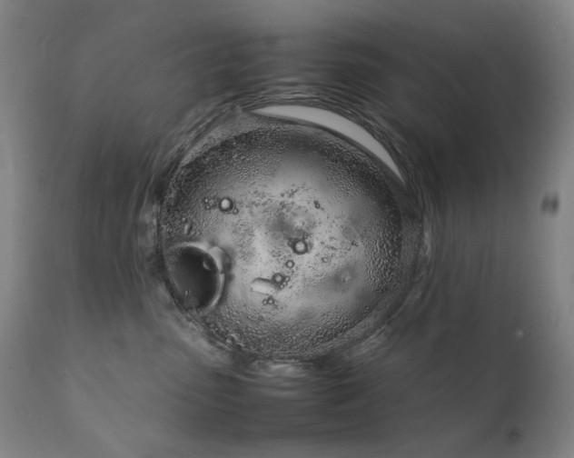 X0000111920475200907271253