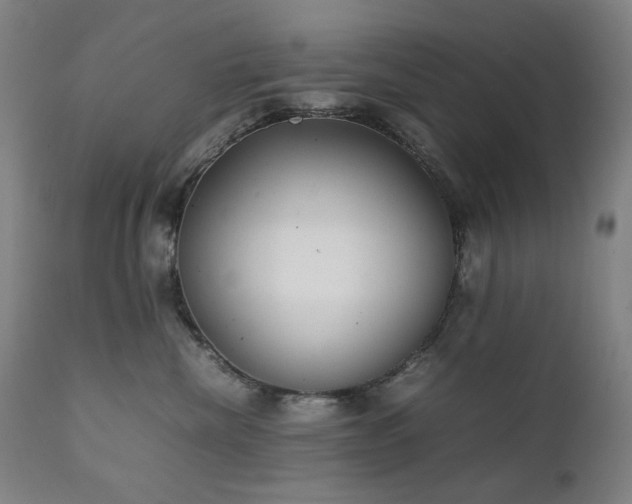 X0000111920476200907271253