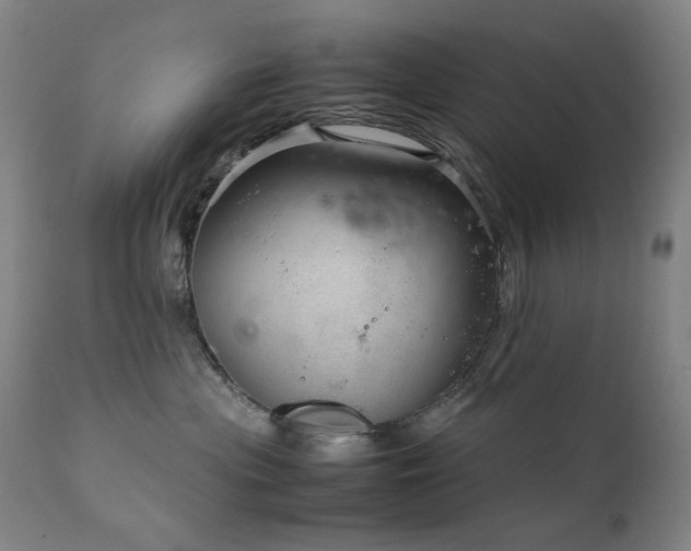 X0000111920477200907271253