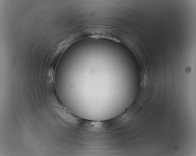 X0000111920478200907271253