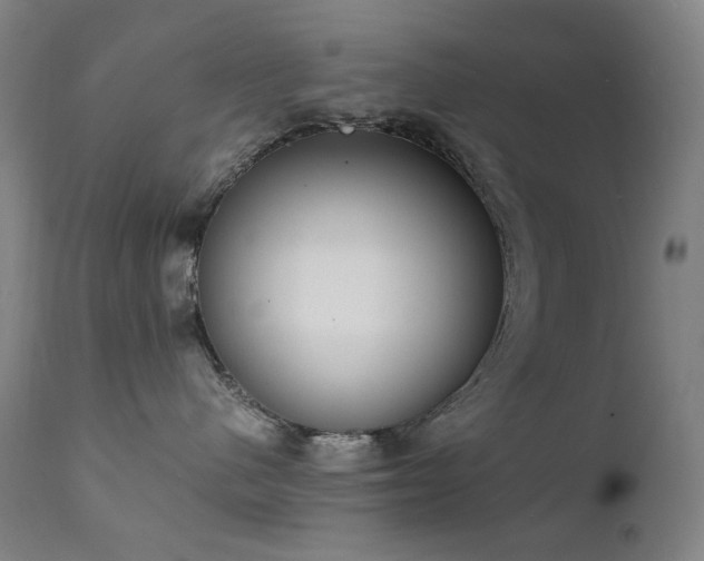 X0000111920480200907271253