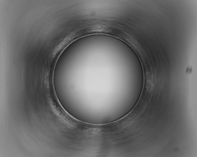 X0000111920482200907271252