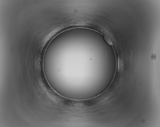 X0000111920483200907271252