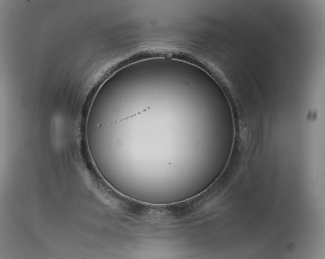 X0000111920487200907271252
