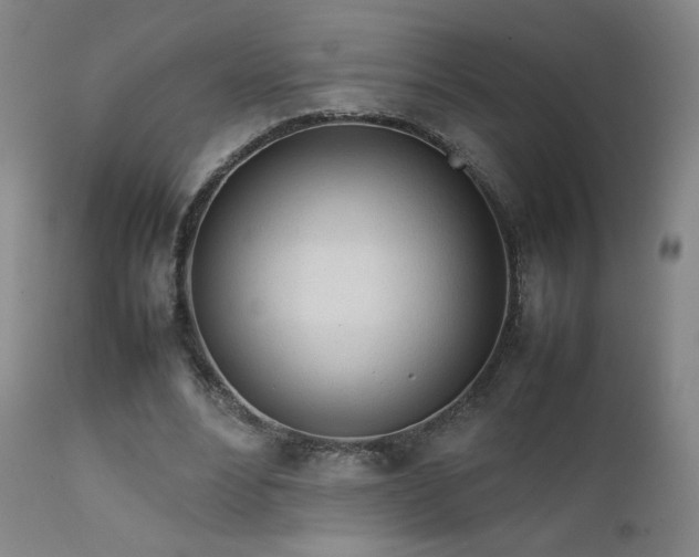 X0000111920488200907271252