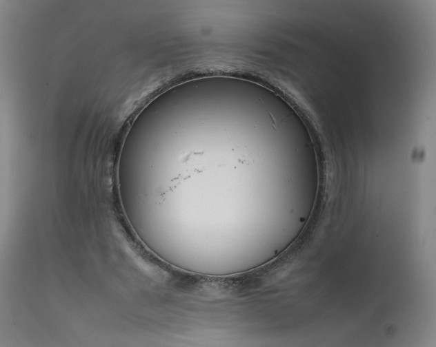 X0000111920489200907271252