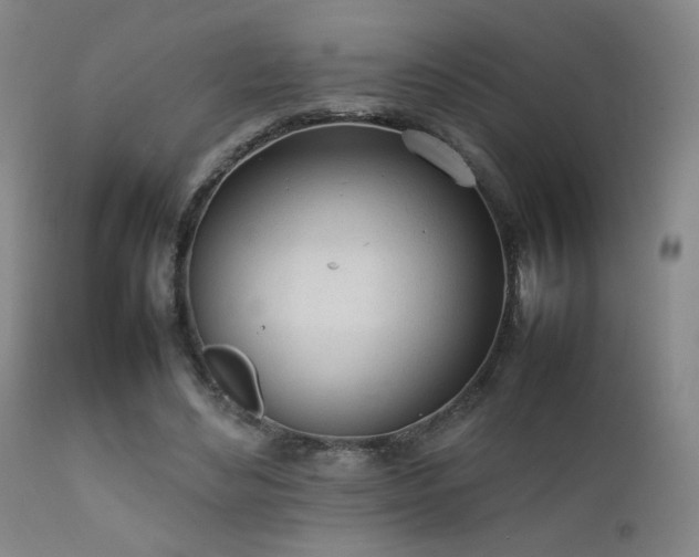 X0000111920492200907271252