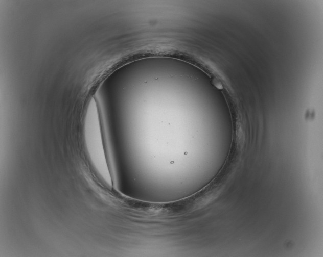 X0000111920493200907271252