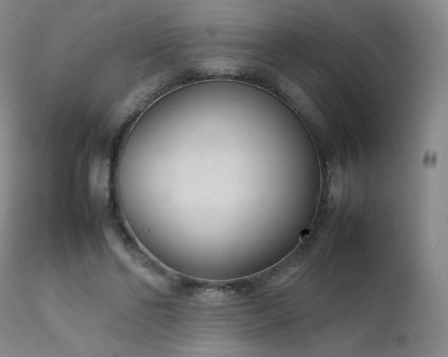 X0000111920494200907271252