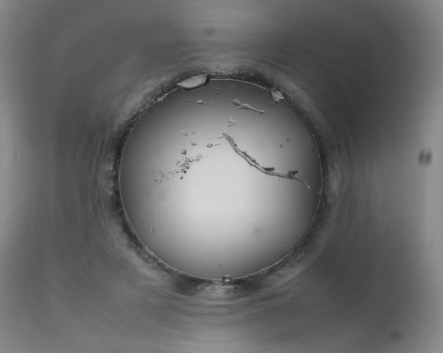 X0000111920497200907271252