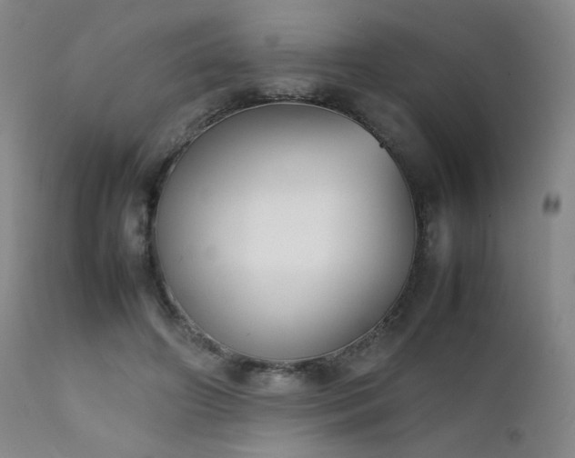 X0000111920498200907271252