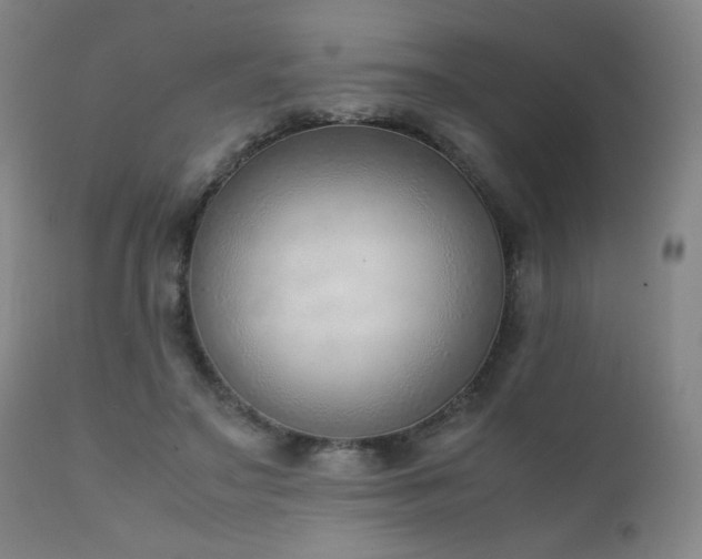 X0000111920499200907271252