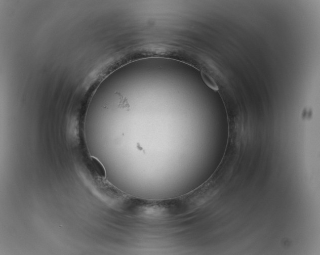 X0000111920500200907271252