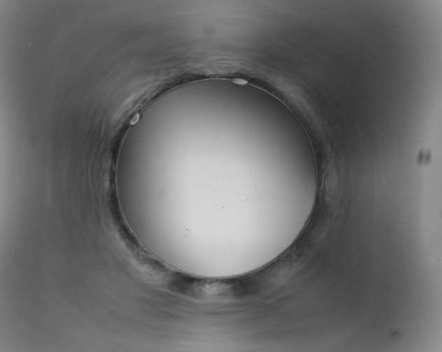 X0000111920501200907271252