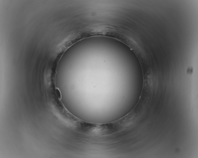 X0000111920504200907271252