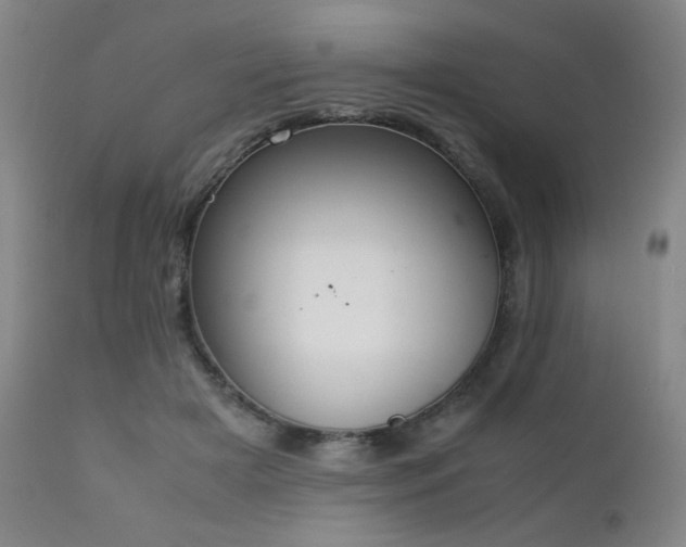 X0000111920505200907271252