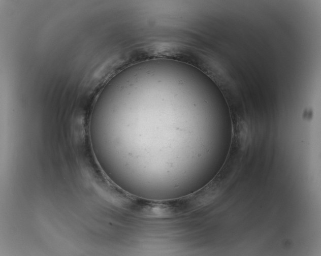 X0000111920506200907271252