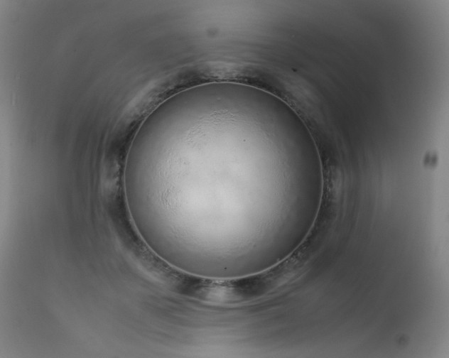 X0000111920507200907271252