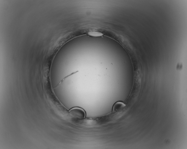 X0000111920509200907271252