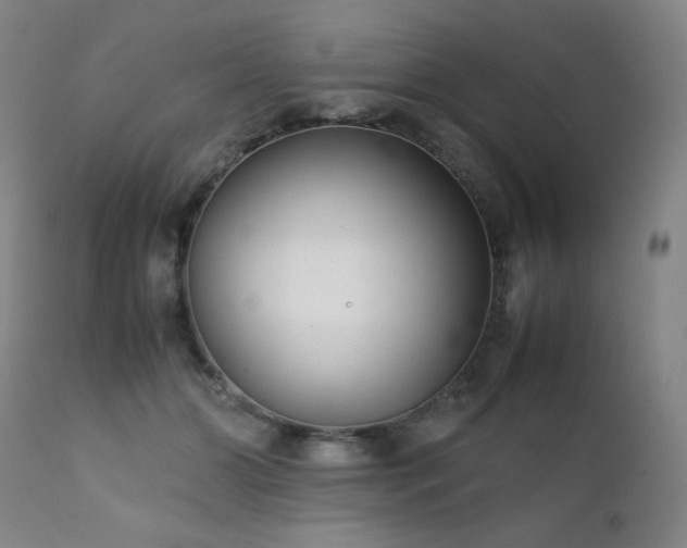 X0000111920510200907271252