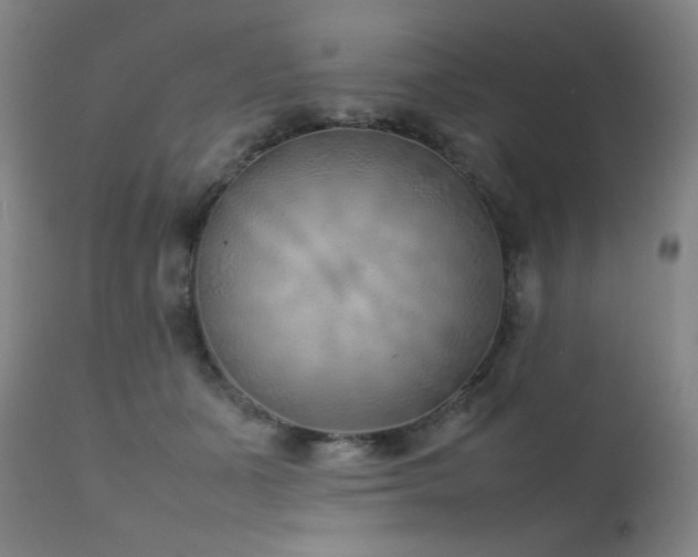 X0000111920511200907271252