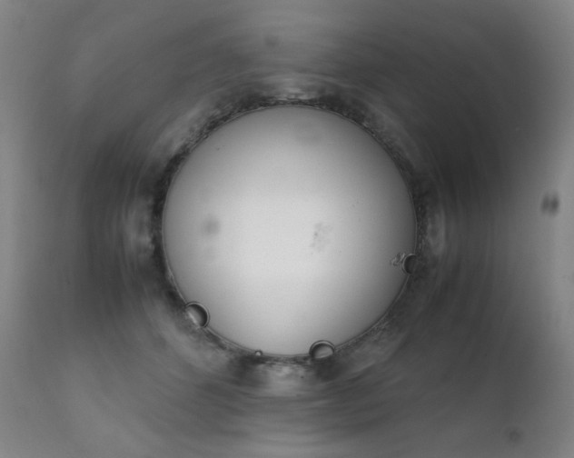 X0000111920512200907271252