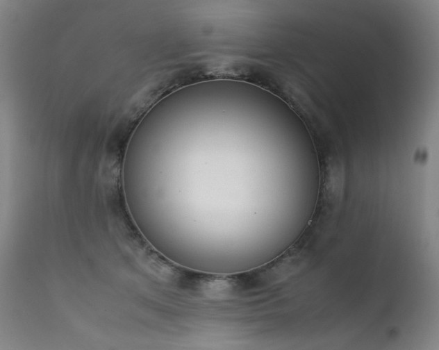 X0000111920513200907271252