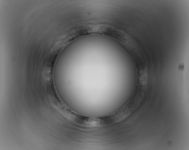 X0000111920514200907271252