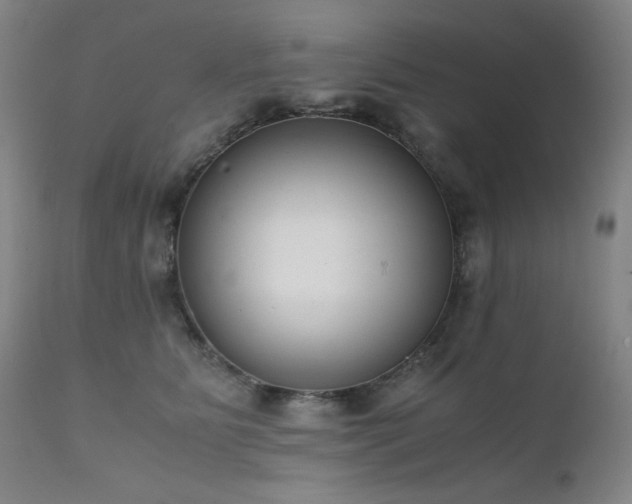 X0000111920515200907271252