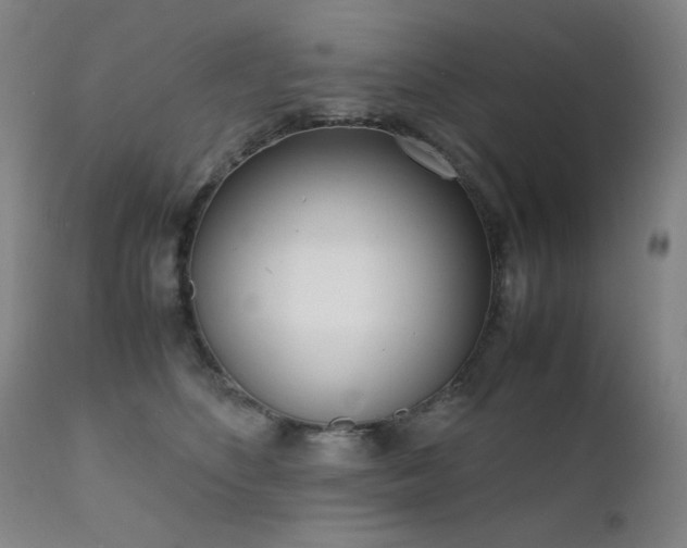 X0000111920516200907271252
