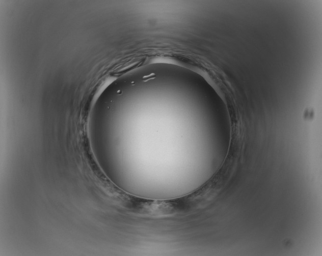 X0000111920517200907271252