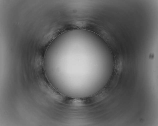 X0000111920518200907271252