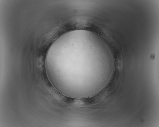 X0000111920519200907271252