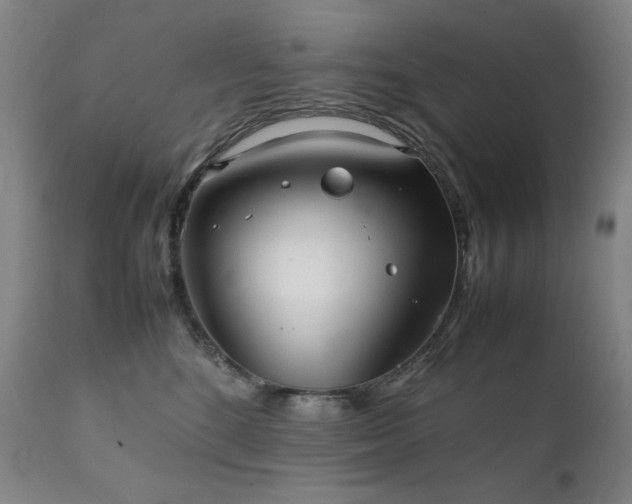 X0000111920520200907271252